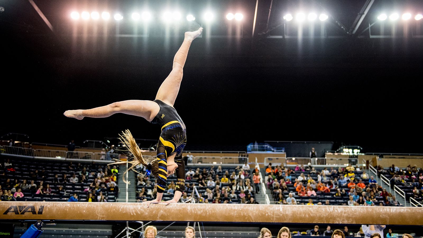 Michigan Wolverines Women's Gymnastics vs. Denver & Fisk at Crisler Arena